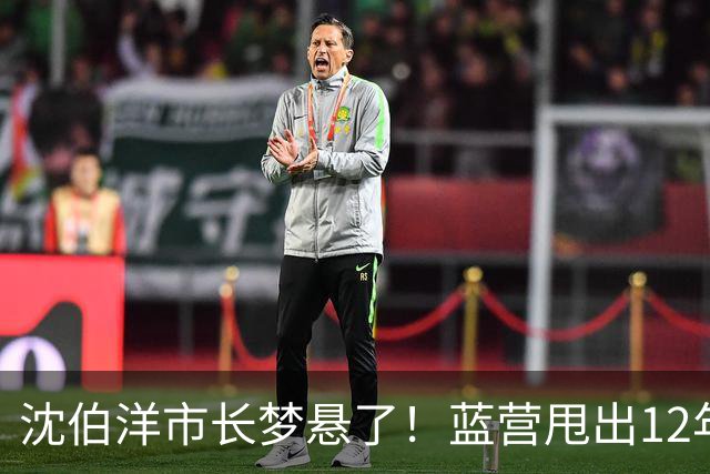 沈伯洋市长梦悬了！蓝营甩出12年前致命旧文，深绿基本盘开始动摇